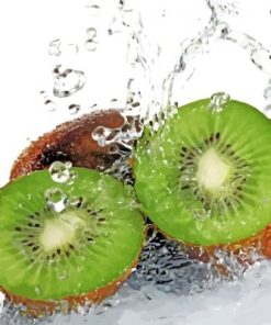 Sliced Kiwi In Water Paint By Numbers