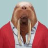 Walrus Wearing Red Paint By Numbers