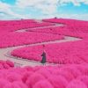 Hitachi Seaside Park Paint By Numbers