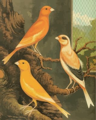 Canary Birds paint by numbers