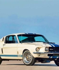 White Ford GT 500 Paint By Numbers