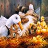 Cat And Duck Family paint By Numbers