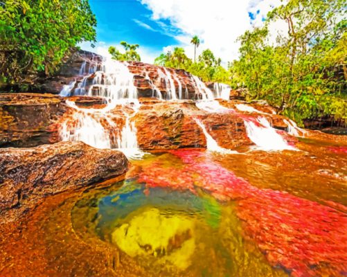 Cano Cristales Paint By Numbers