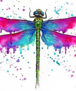 Colorful Dragonfly Paint By Numbers