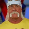 Hulk Hogan Paint By Numbers