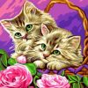Cute Kitties Paint By Numbers