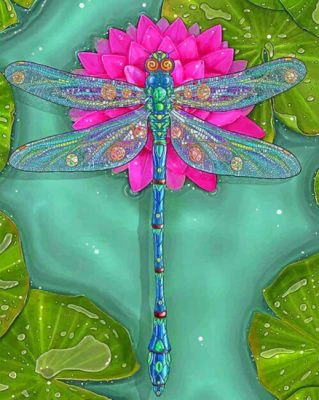 Dragonfly And Water Lily Paint by numbers