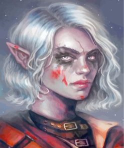 Elf Woman Paint By Numbers