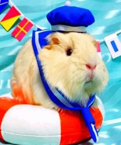 Guinea Pig Sailor Paint By Numbers