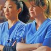 Meredith And Cristina Paint By Numbers