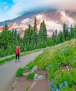 Mount Rainier Paint By Numbers