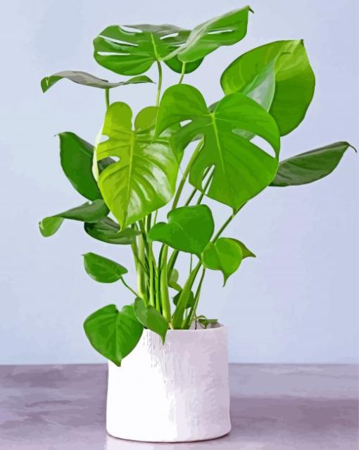 Aesthetic Philodendron Paint By Numbers