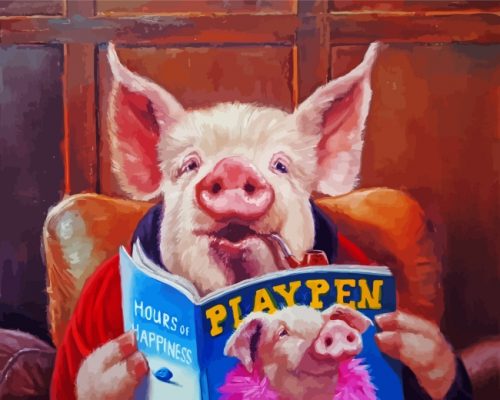 Pig Reading A Magazine paint by numbers