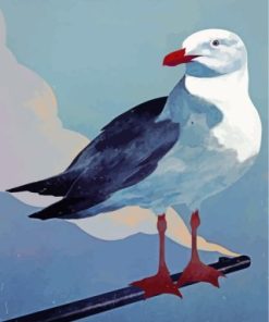 Seagull Bird Paint By Numbers