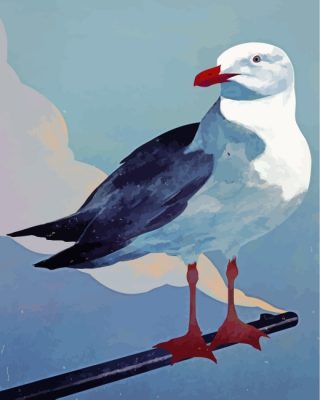 Seagull Bird Paint By Numbers