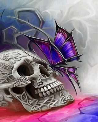 Skull Butterfly Paint By Numbers