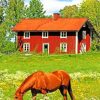 Brown Horse In Farm Paint By Numbers