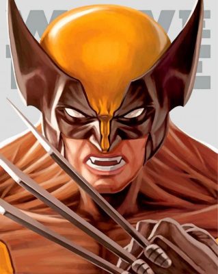 Wolverine Logan Paint By Numbers