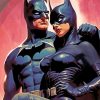 Batman And Cat Woman Paint By Numbers