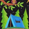 Camp Night Owl Paint By Numbers