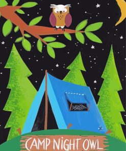 Camp Night Owl Paint By Numbers