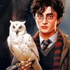 Harry Potter And Owl Paint By Numbers