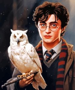 Harry Potter And Owl Paint By Numbers