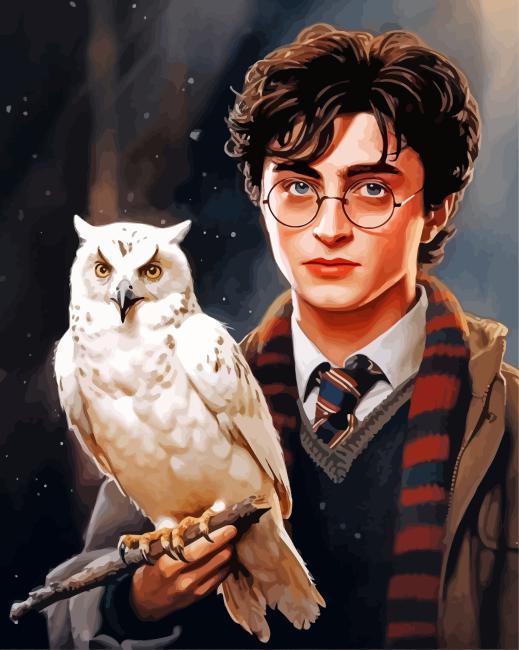 Harry Potter And Owl Paint By Numbers - Painting By Numbers