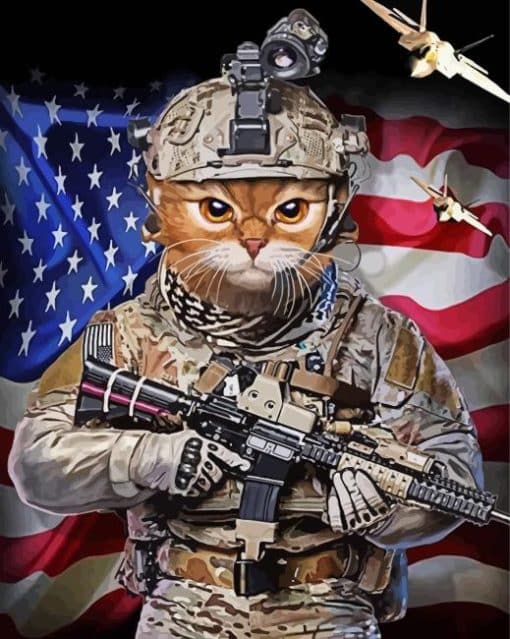 Military Cat Paint By Numbers