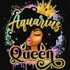Aquarius Afro Queen Paint By Numbers