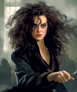 Bellatrix Lestrange Paint By Numbers