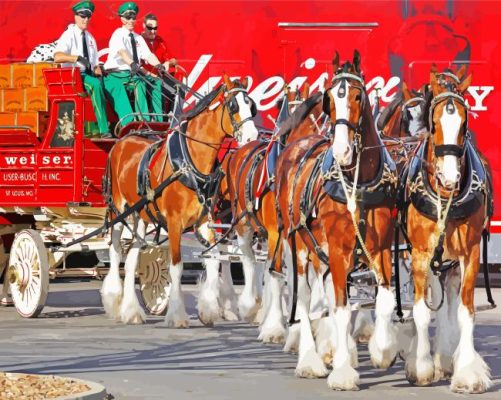 Budweiser Clydesdales Paint By Numbers 
