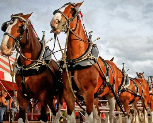 Budweiser Clydesdales Horses Paint By Numbers 