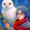 Hedwig And Harry Potter Paint By Numbers