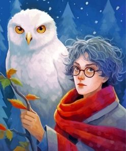 Hedwig And Harry Potter Paint By Numbers