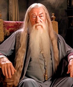 Professor Albus Dumbledore Paint By Numbers