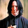 Professor Severus Snape Paint By Numbers