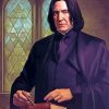 Professor Snape Character Paint By Numbers