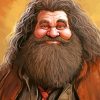 Rubeus Hagrid Art Paint By Numbers