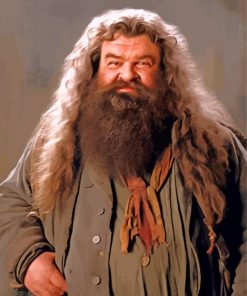Rubeus Hagrid From Harry Potter Paint By Numbers