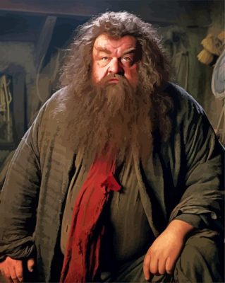Rubeus Hagrid Paint By Numbers 