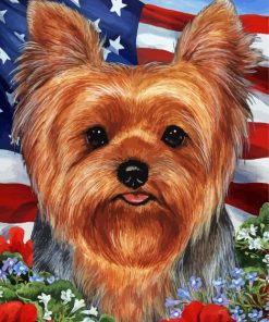 Patriotic Yorkie Puppy Paint By Numbers