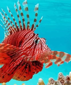 Red Lionfish Paint By Numbers