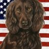Boykin Spaniel Paint By Numbers