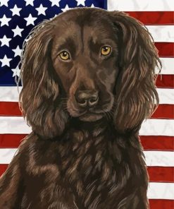 Boykin Spaniel Paint By Numbers