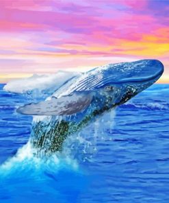 Humpback Whale At Sunset Paint By Numbers