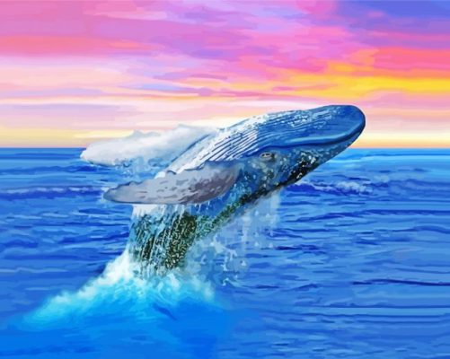 Humpback Whale At Sunset Paint By Numbers 
